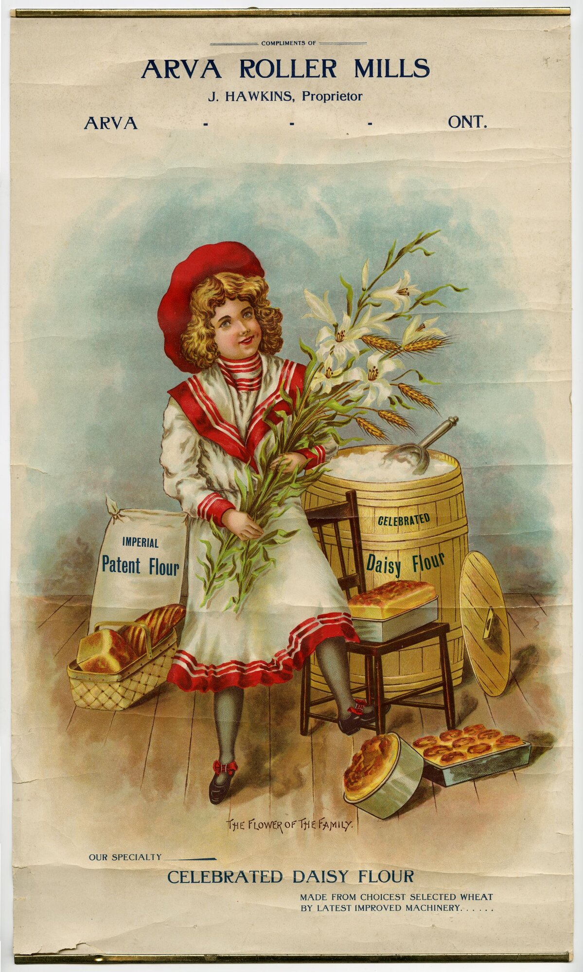 Colour poster advertisement, 'Compliments of Arva Roller Mills, J. Hawkins Proprietor, Arva Ont.' — a young girl in a red beret holds lilies beside a barrel labelled 'Celebrated Daisy Flour' and a sack of Imperial Patent Flour with breads and pastries on the floor. Caption reads 'The Flower of the Family — Our Specialty, Celebrated Daisy Flour.'